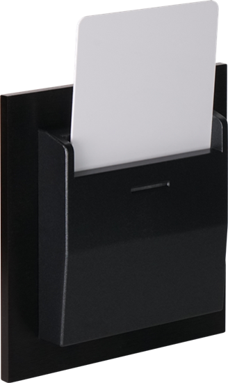 Slika Rosa Glass_Glass-Card Holder -Anthracite-No icon (With Frame & exclusing power supply )
